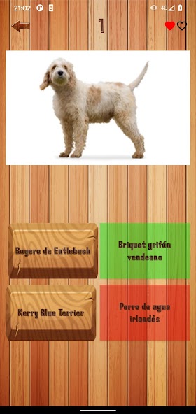 Guess dog breed