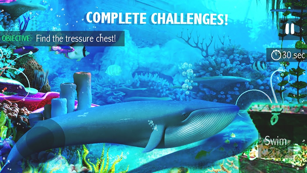 Blue Whale Simulator