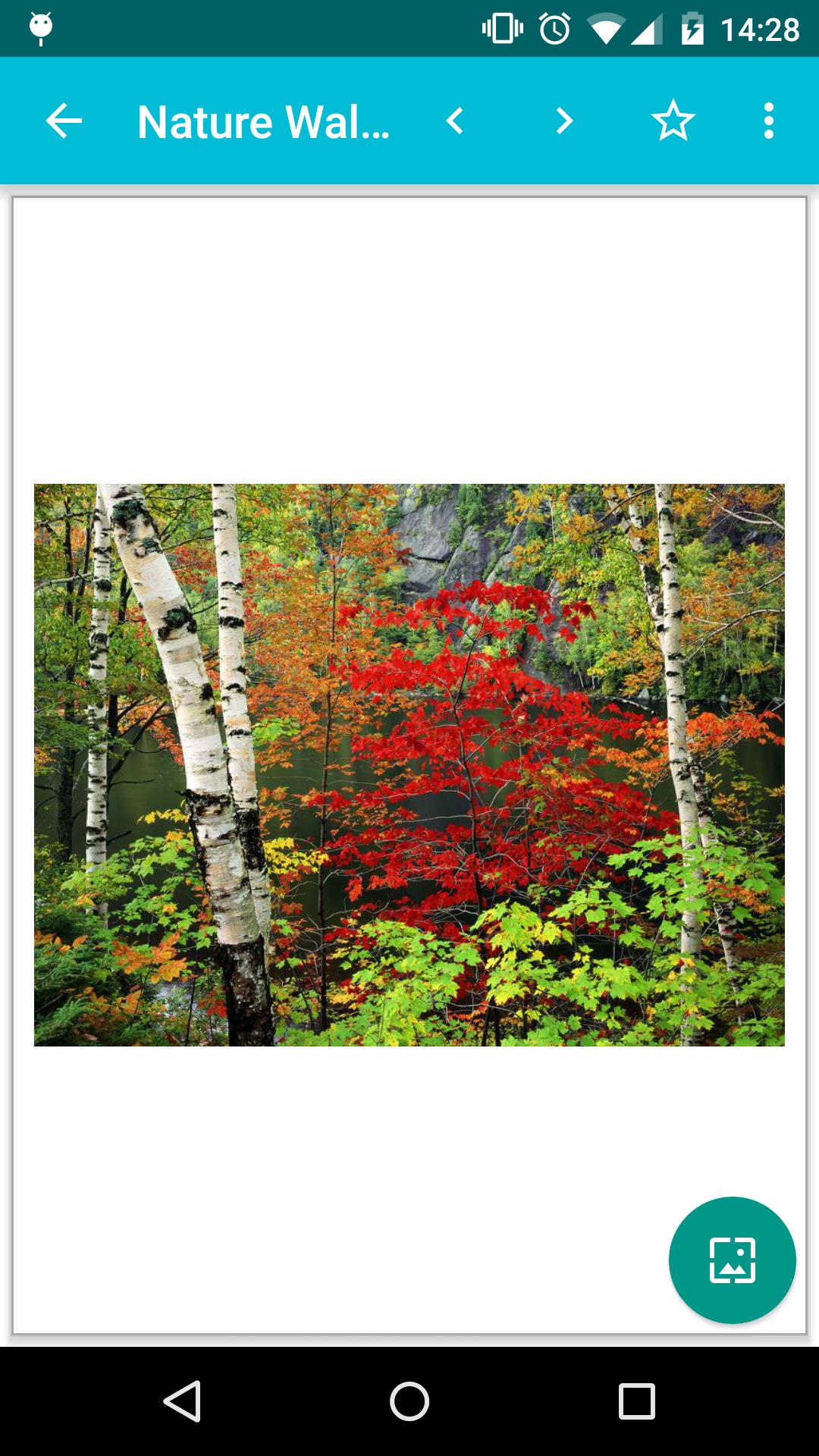 Nature Wallpapers!