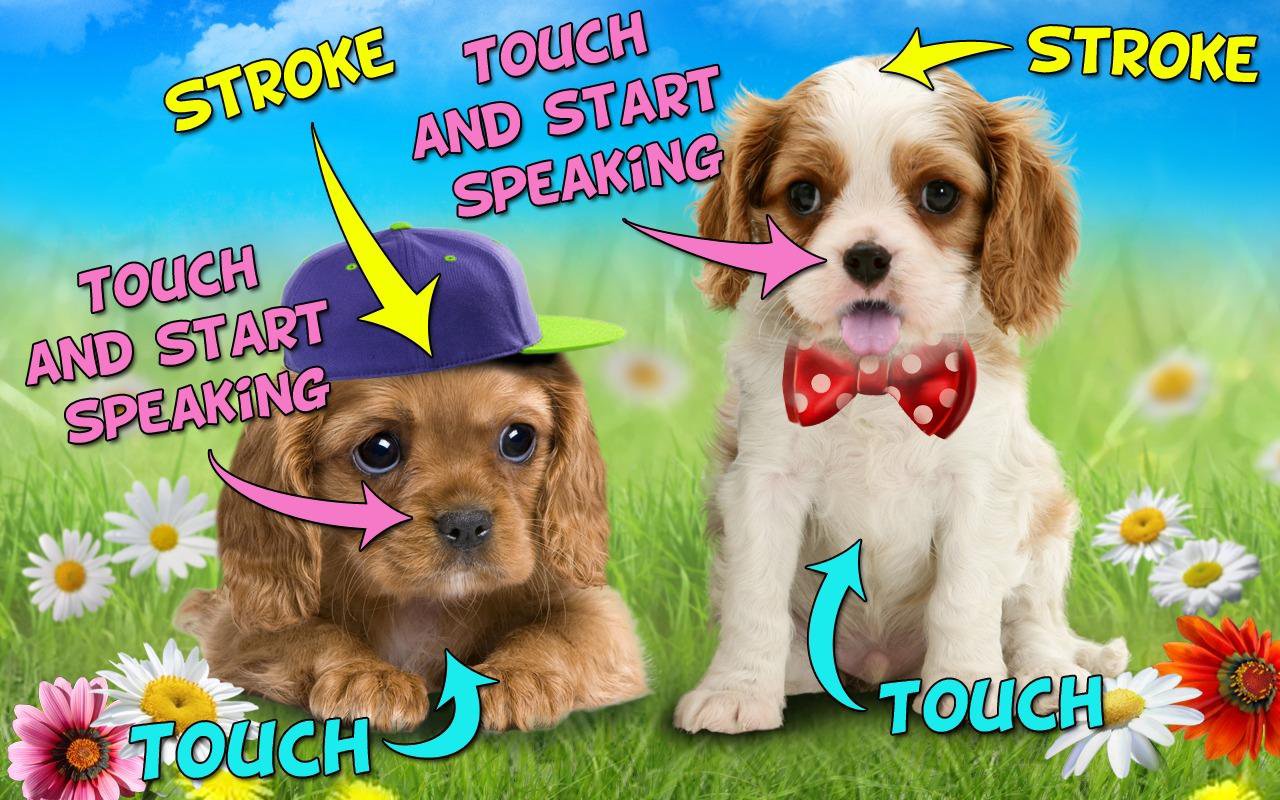 Talking puppies