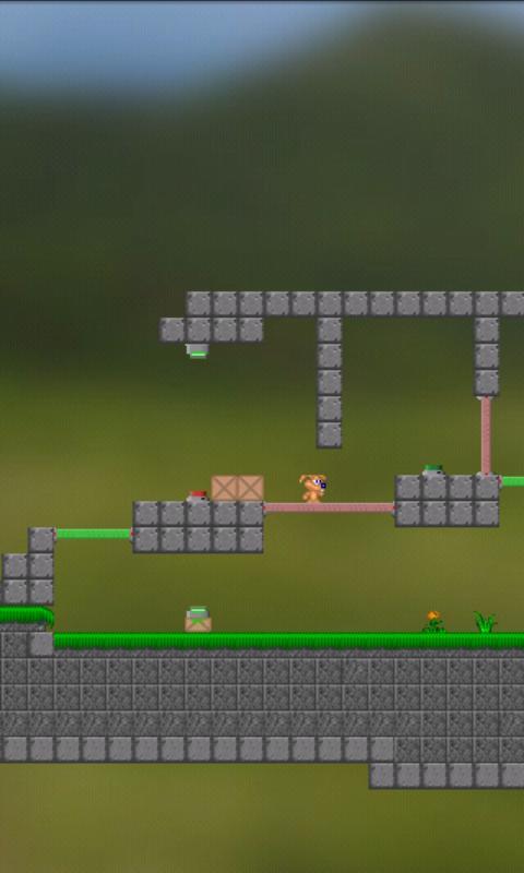 Box Fox Lite:Puzzle Platformer