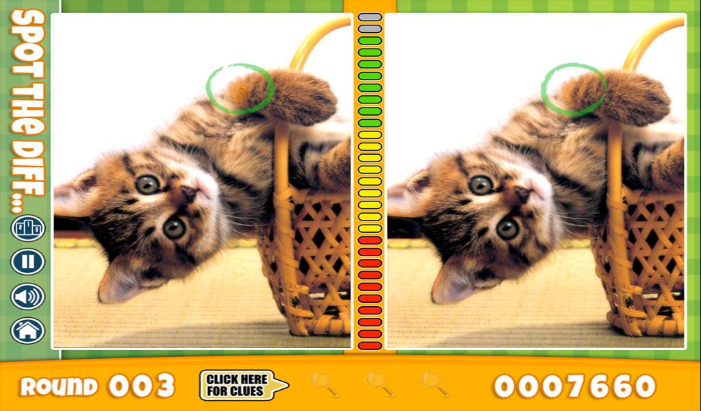 FREE Spot The Difference Cats