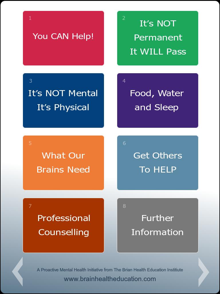 The Brain Buddy Handbook