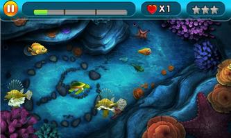 Fish Eat