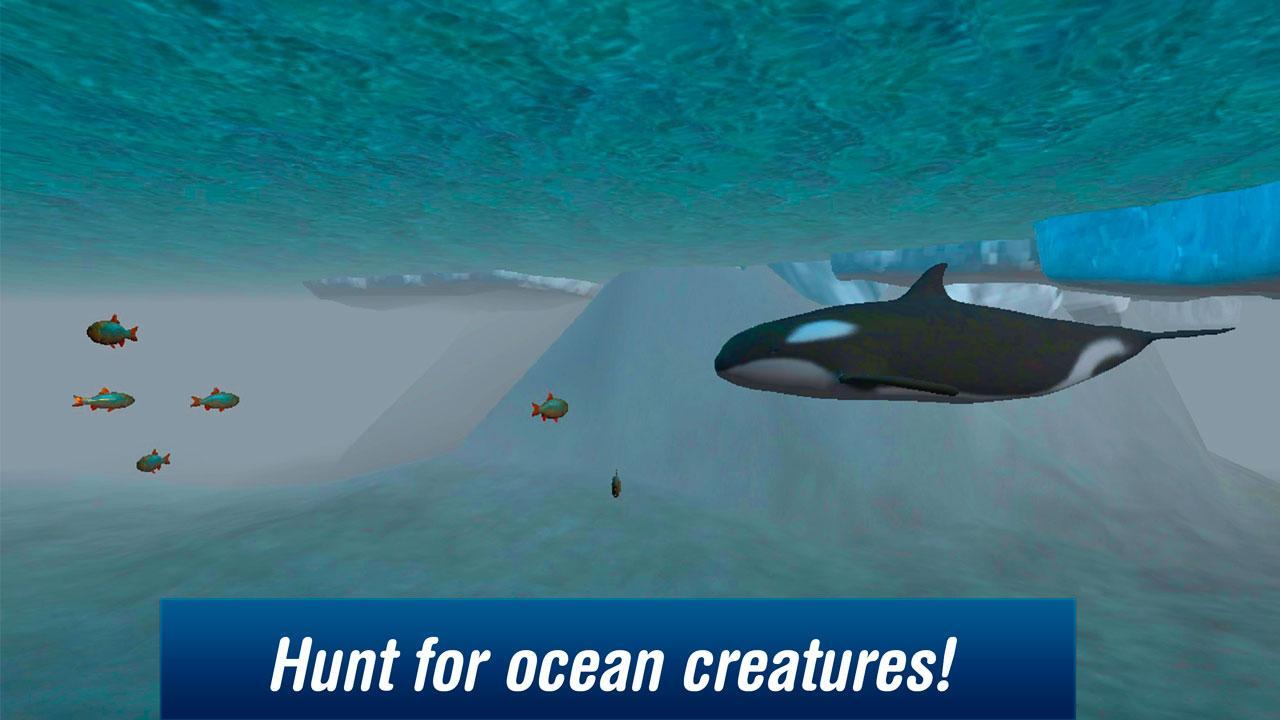 Killer Whale: Orca Simulator