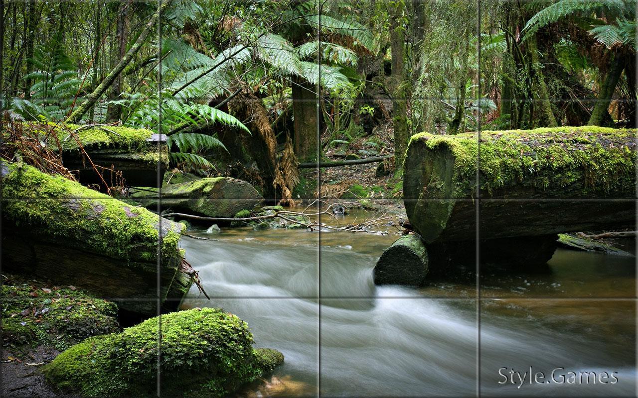 Rivers Puzzle