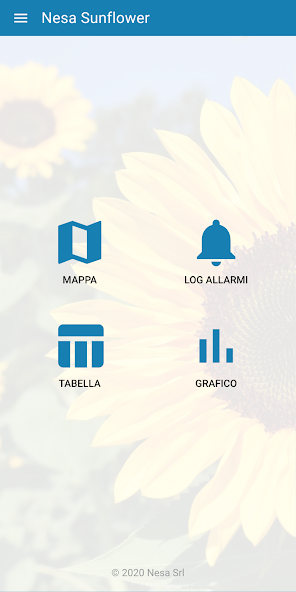 Nesa Sunflower