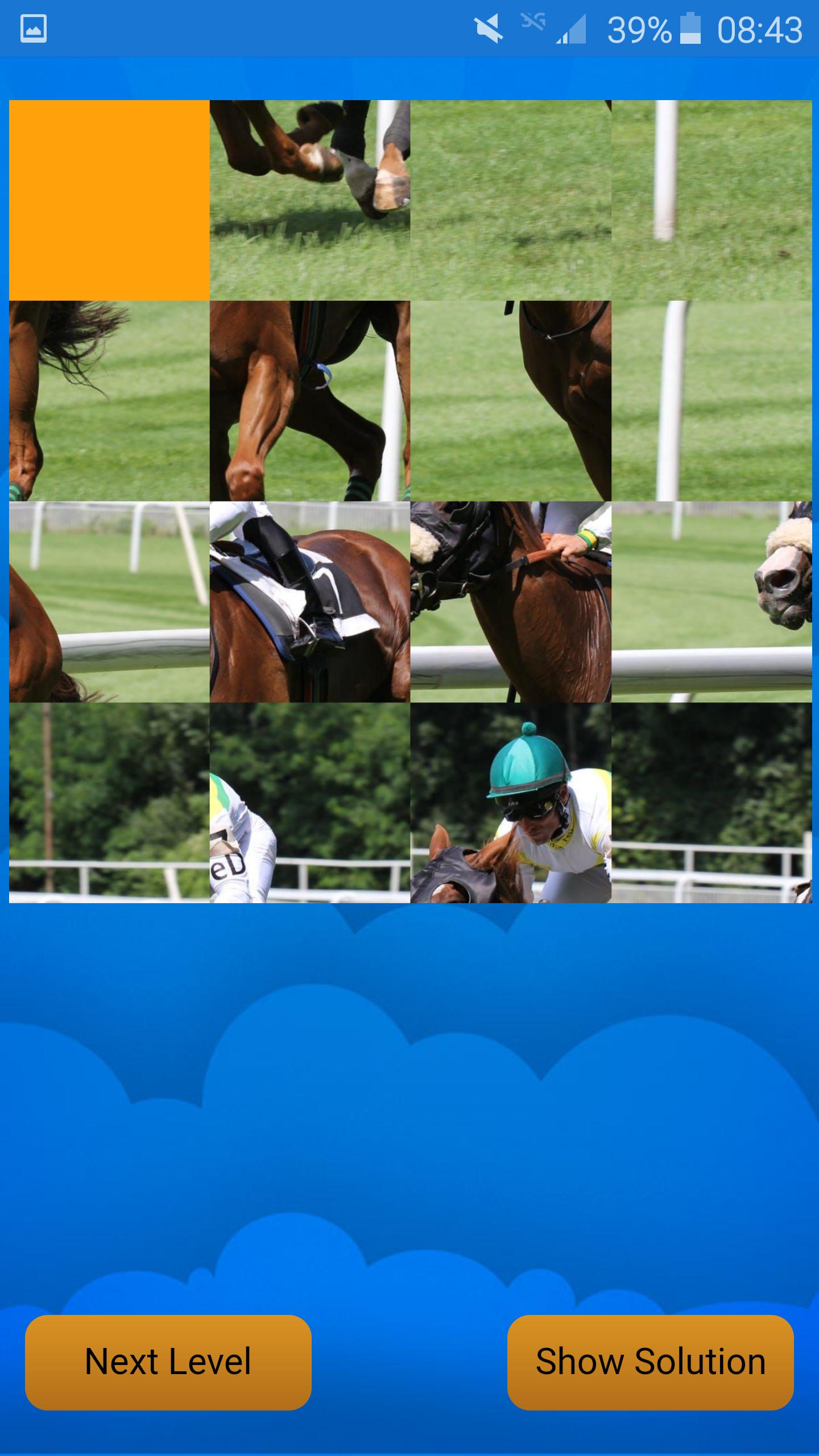 puzzle of sport