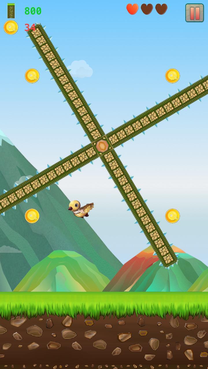 Relax Bird