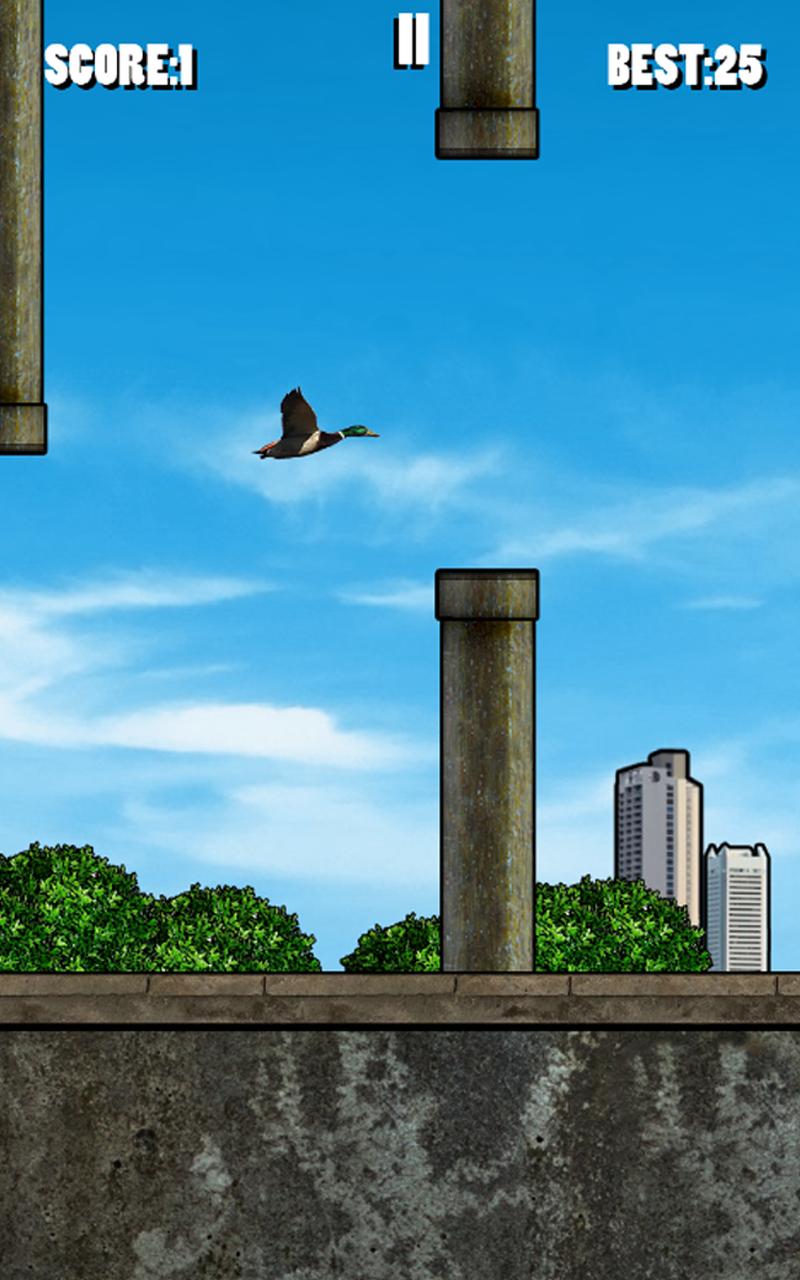 Touch Bird HD