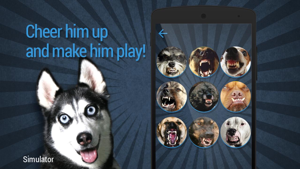 Dog Teaser: Sounds