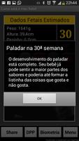 Gravidez ao Vivo LITE