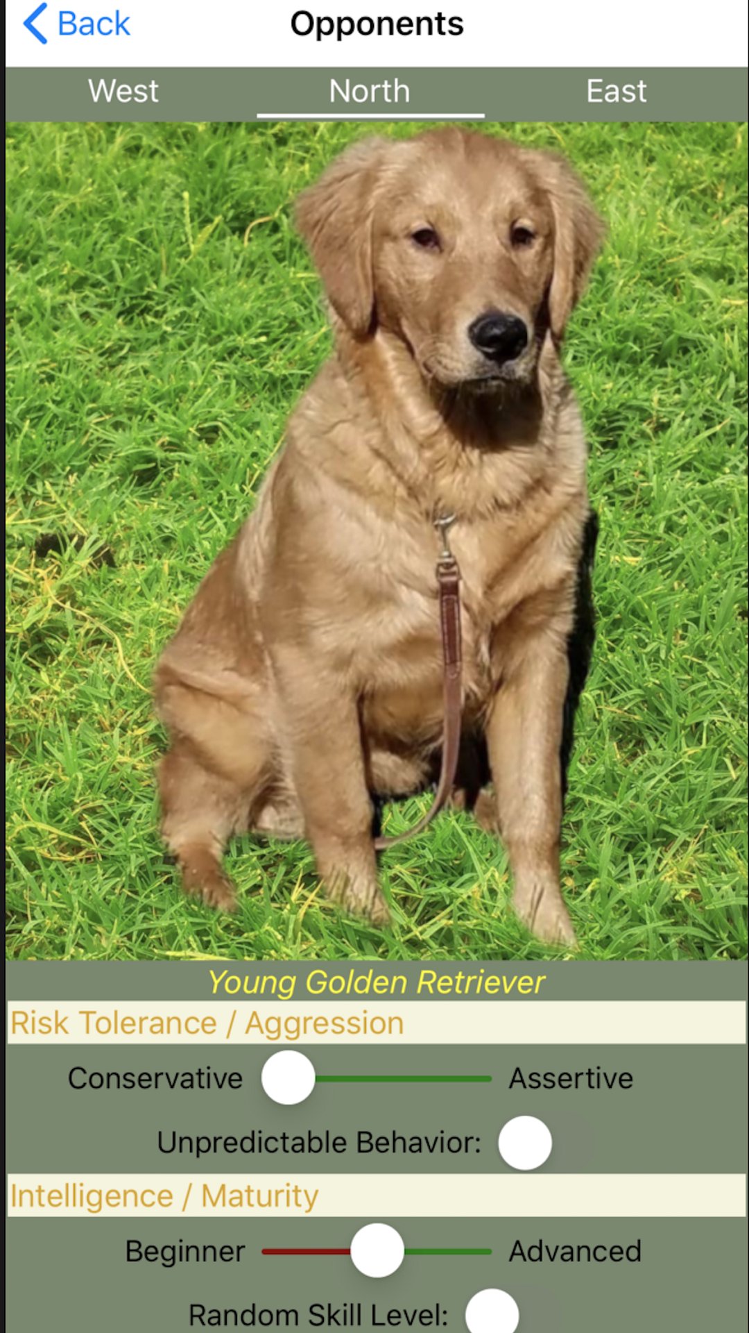 K9 Shanghai Rummy