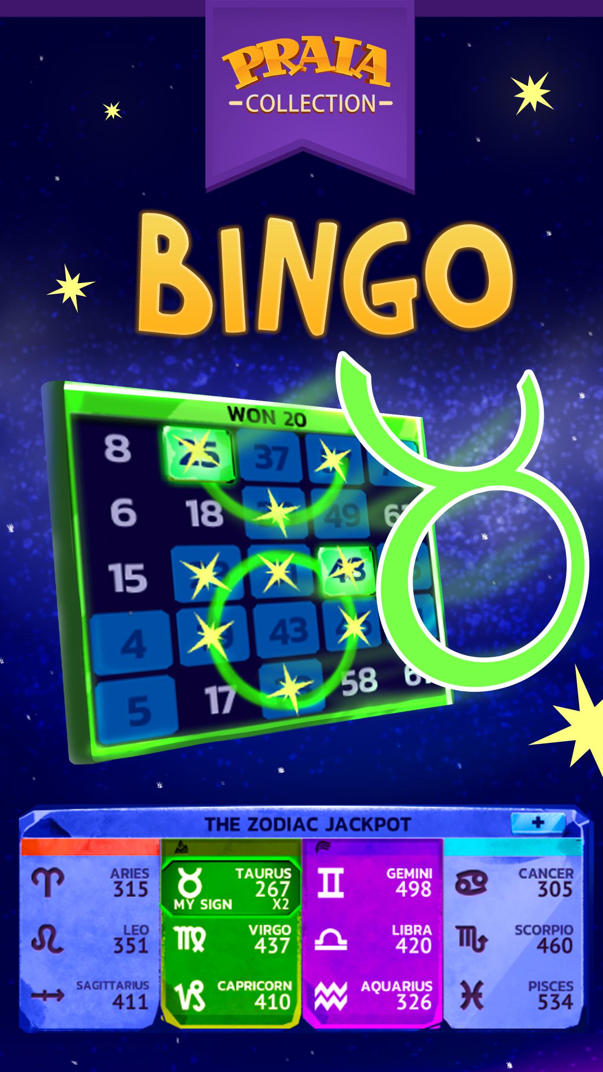 Video Bingo Malibu
