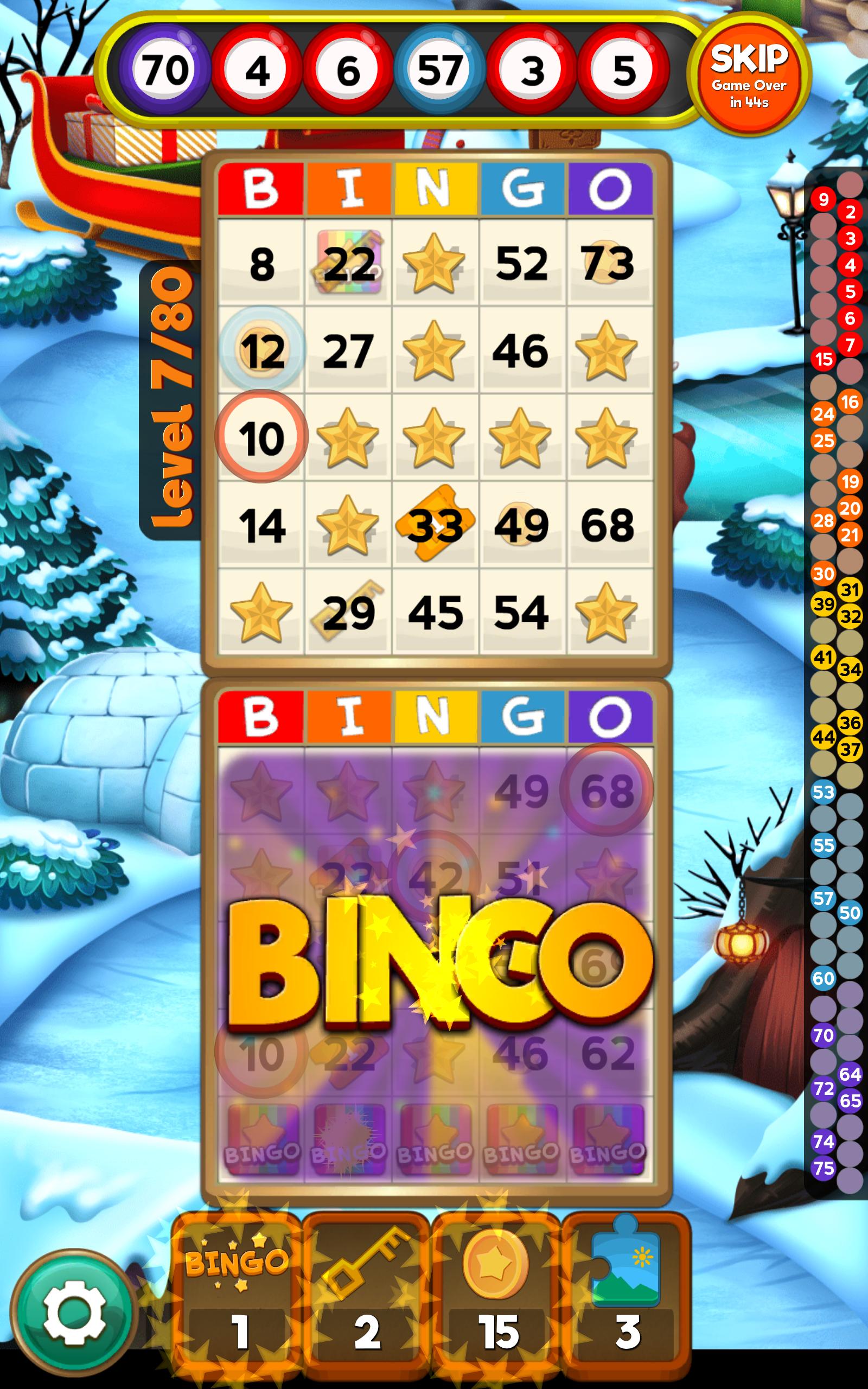 Bingo Quest Winter Wonderland Garden