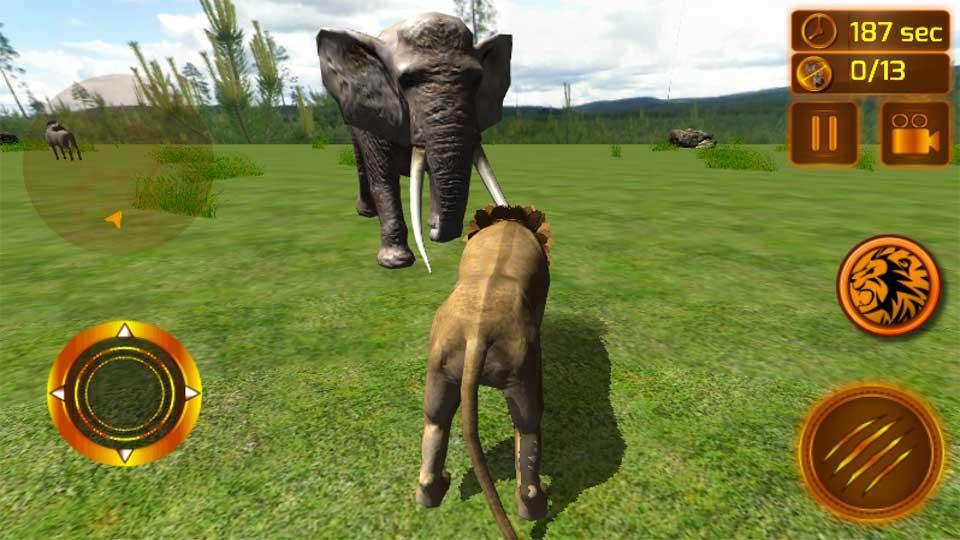 Real Lion Simulator 3D