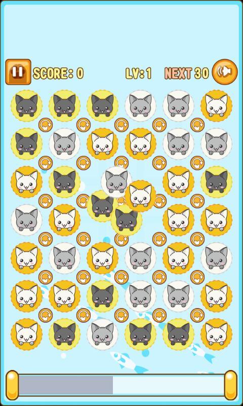 Twirling Cat