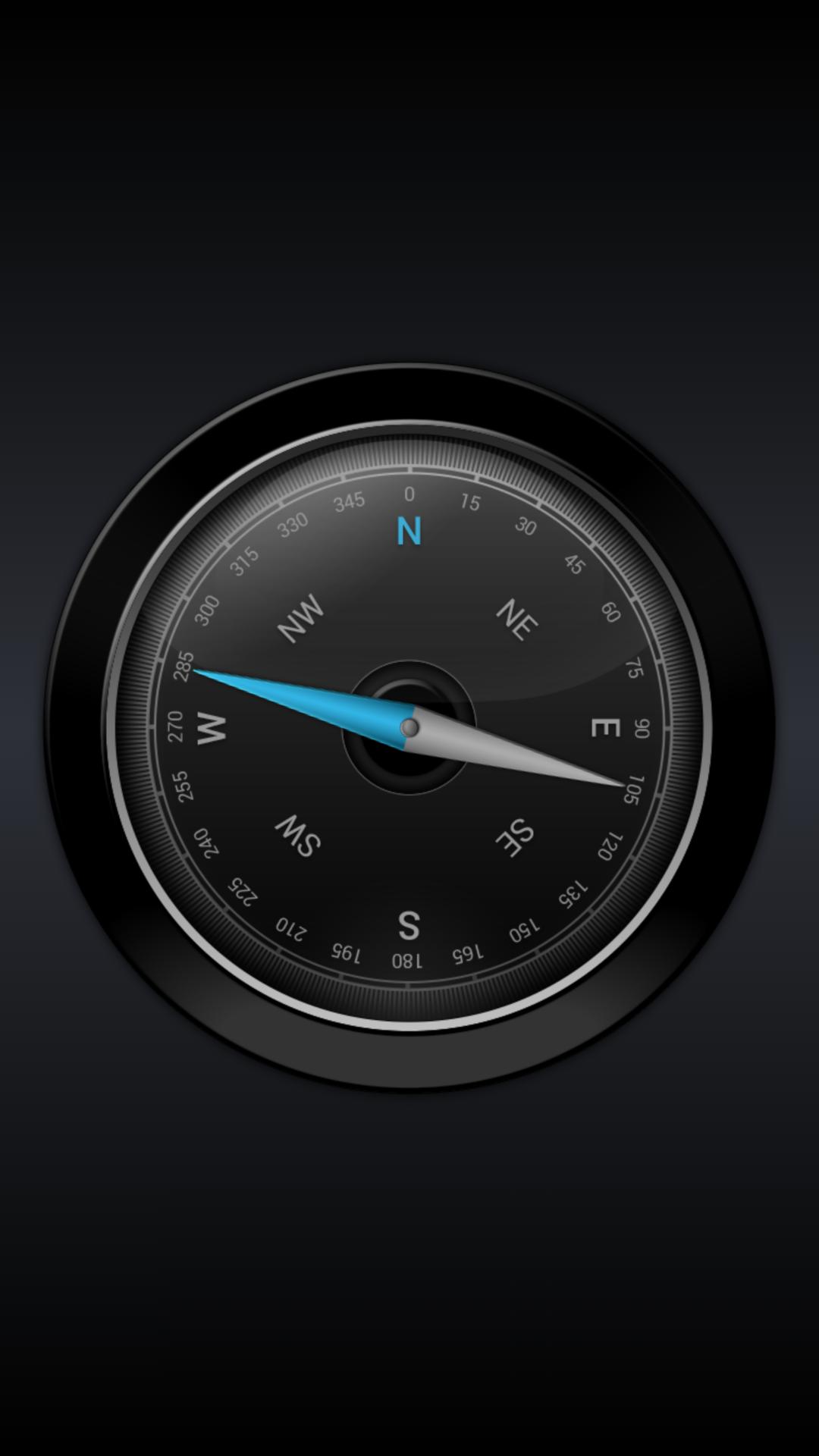 Gyro compass
